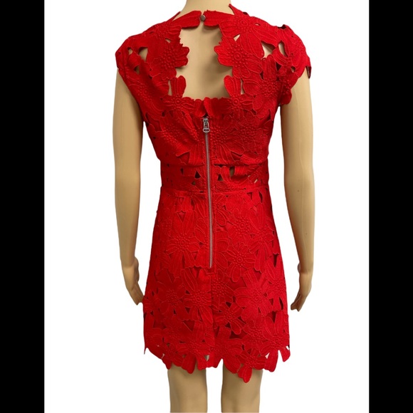 Piper Lace High Collar Mini Dress - Picture 3 of 12
